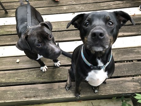 u7984023 free actress archive