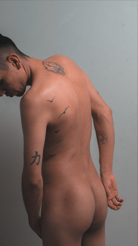 lenerpardo beautiful model archive