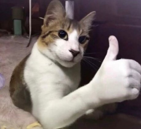 Leandaddy free star images