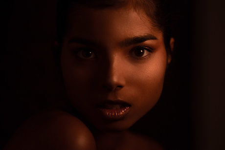 Colibr_ art star archive