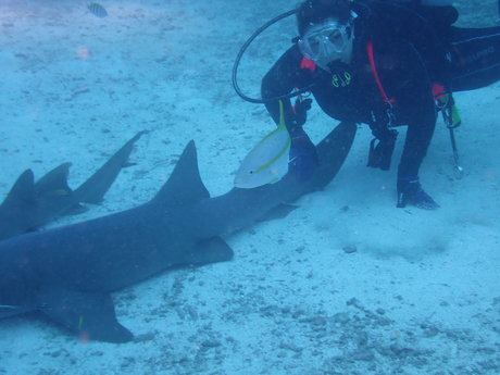 Lily Lane model xxx photo