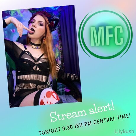 Lilykushfree star art img