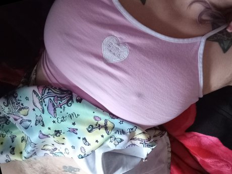 Desert Rose star beautiful photo