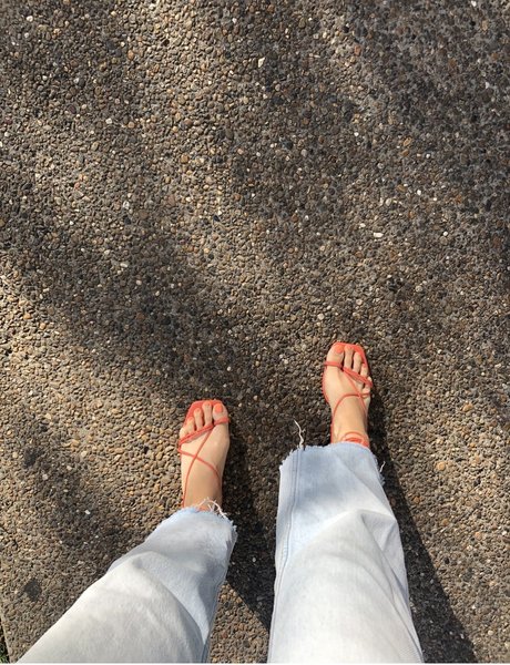 Lottie Socks top star photos