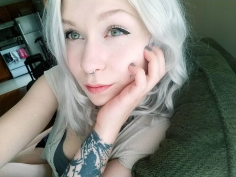 Little Lamb star hd images