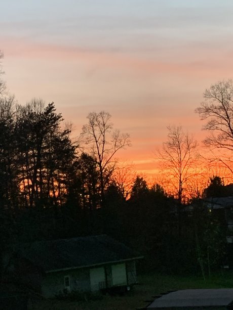 Lydia Lutz best actress image