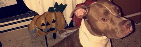 SideNigga Treey II_ high quality model photo