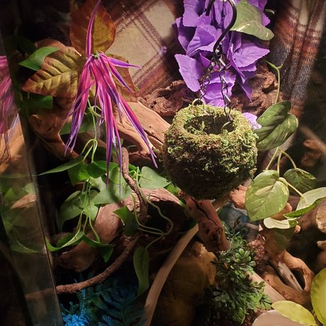 Luscious Lilth naked star gallery