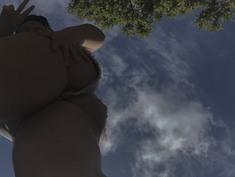 Lulaa art star galleries