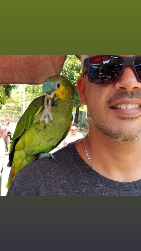 Marcello Rio de janeiro top pornstar images