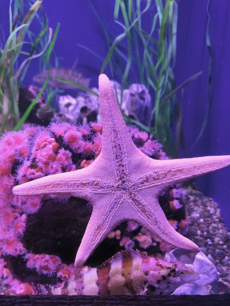 MamaBear008 erotic actress galleries