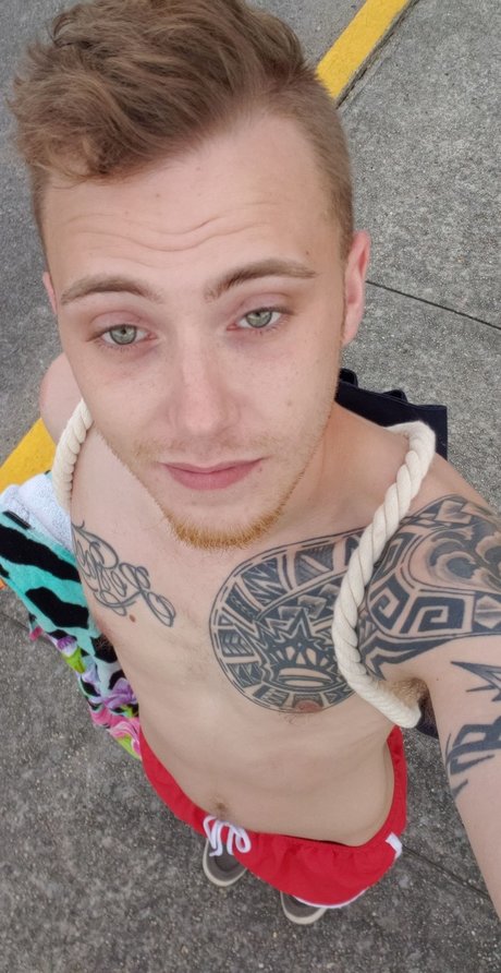 Maverick star high quality picture