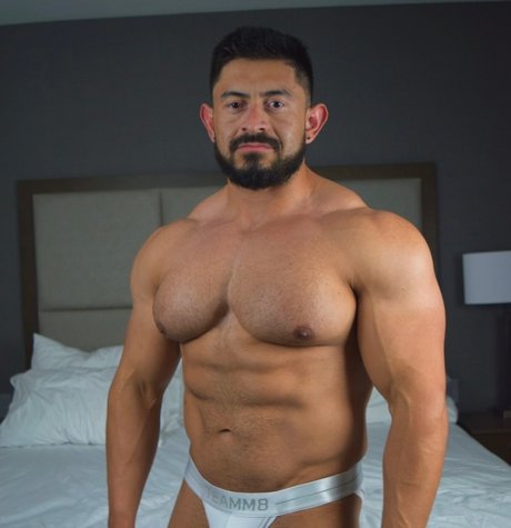 Mateo Muscle pornstar adult image