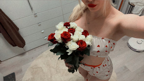 Mischka star adult galleries