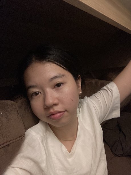 MINE star pretty galleries