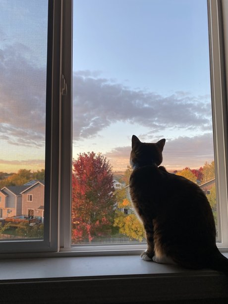 Feets R Us pornstar art pictures