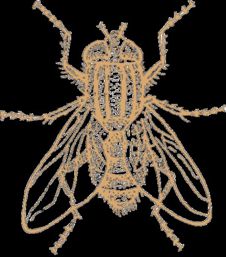 Model Individual perfect model archive