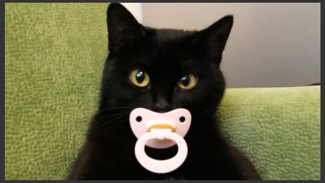 Erotic Taboo Literature 693 model art photo