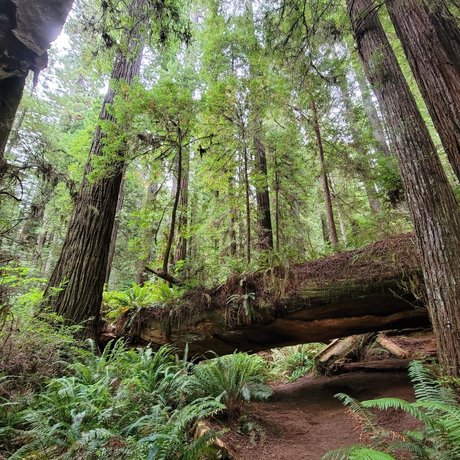 Mister Micah RN hd star gallery