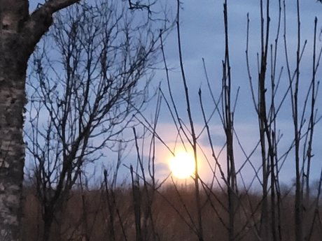 _PROMO Miss Shadow FREE nudes model pics