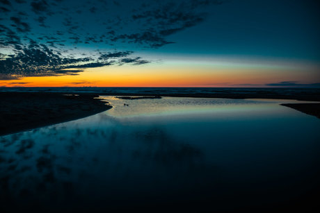 MissGrizz sexy actress image