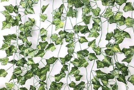 Care star perfect image