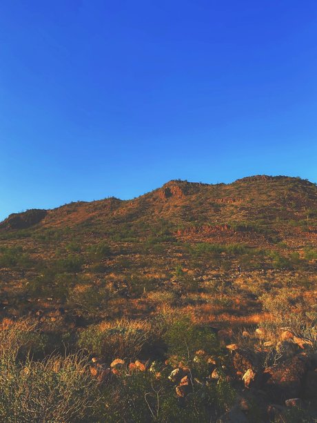 _Stella Rose_ model art gallery