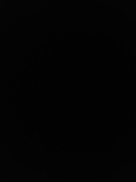 N Weezy904 star nudes pictures