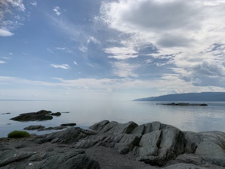 Vagina Life model high quality gallery