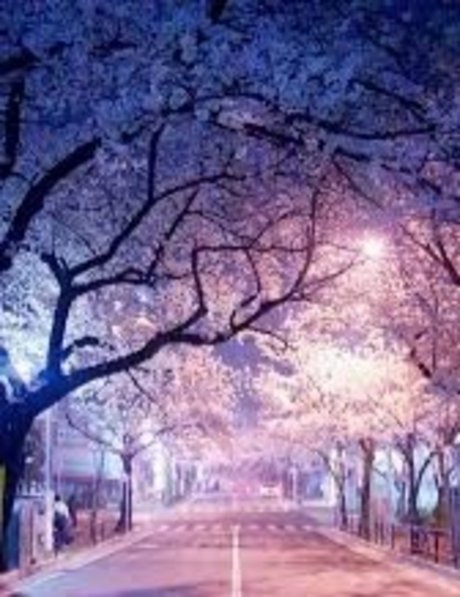 mu so you nudes star picture