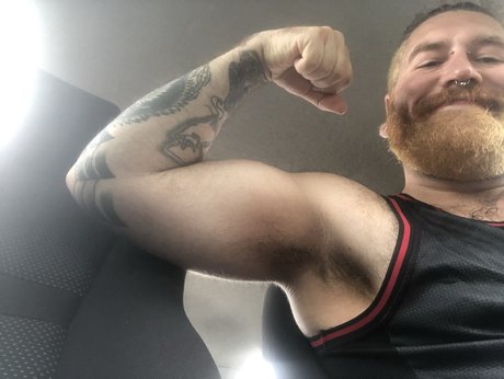 Merc star free gallery