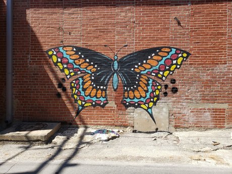 Rachel Smallwood pornstar sexy gallery