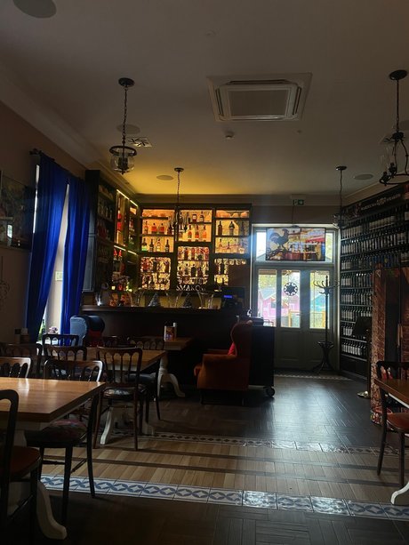 Elitezoya__ sexy pornstar image