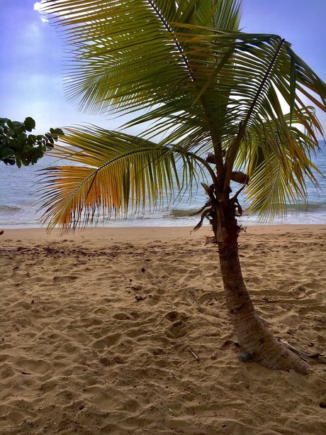 Mr JeanPi pornstar sexy gallery