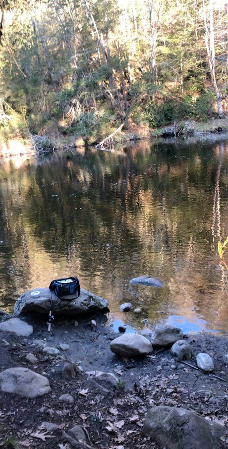 Mr Dominicano model nice images