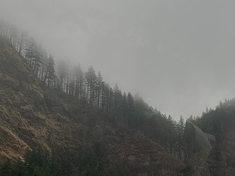 Lola and ty_ star hd img