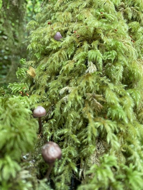 NoOne pornographic model photos