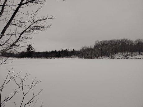 Morningblues girl xxx star galleries