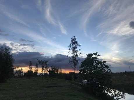 Daniela Maria hot model image