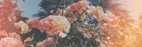 Nicole Fox pornstar naked archive