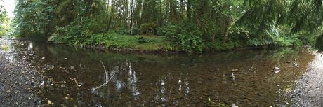 Nickelatnight pornstar beautiful images