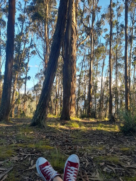 Nicky P model high quality images