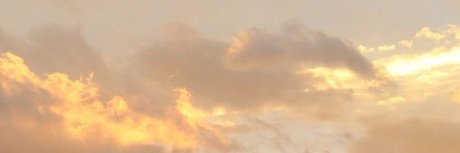 nelle_ erotic actress picture