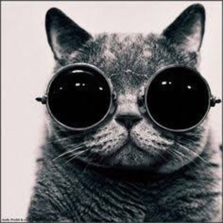 David Gadellha star hot pics