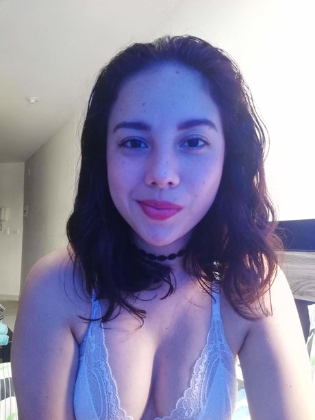 NASHSHI best model image