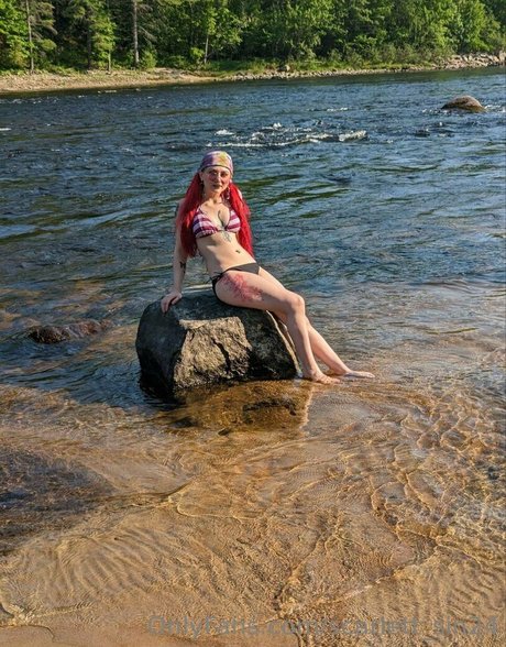 scarlett sin24 hd star image