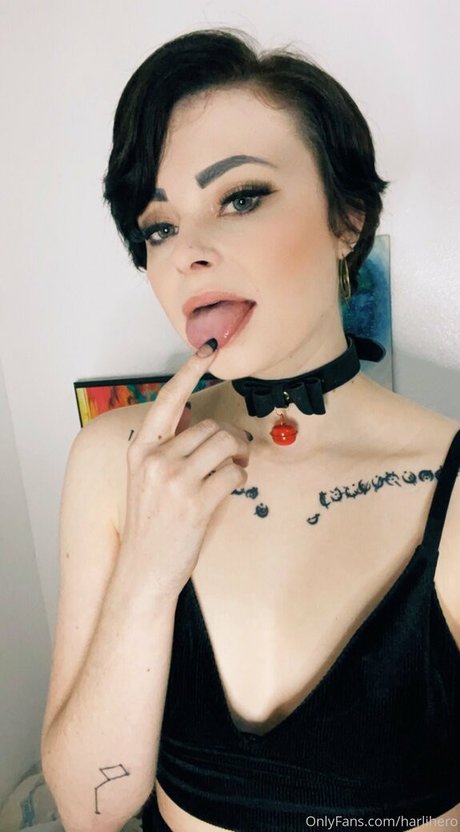 Harlihero perfect star photos