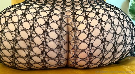 bustycougar top star archive