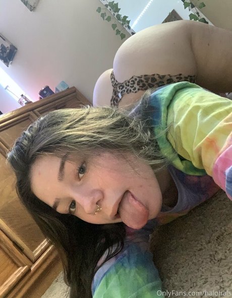 dabofhalo nice pornstar galleries