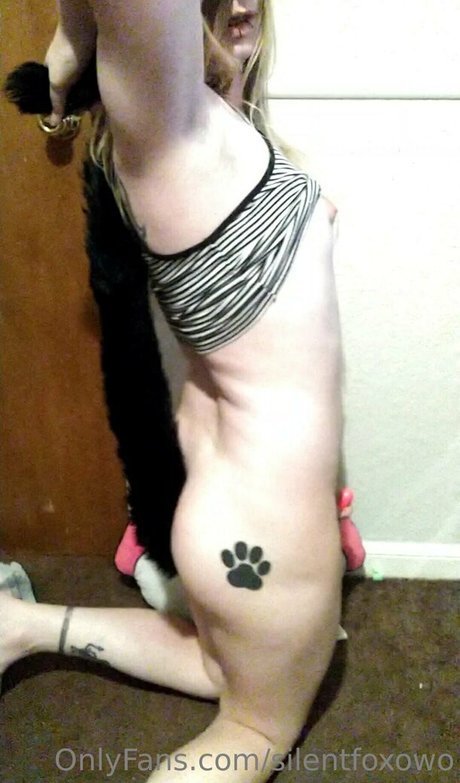 silentfoxowo pornstar hot pictures